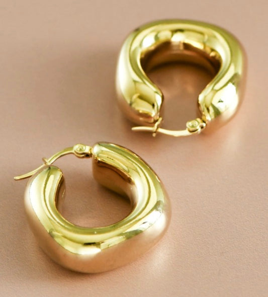 Paje Earrings